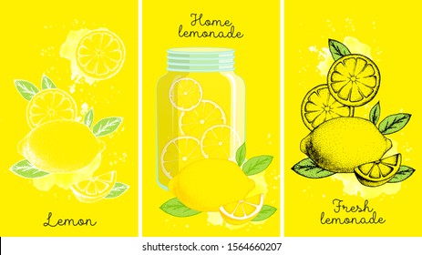 Set of whole, cut in half, sliced on pieces lemons. Lemon, lemonade, fresh lemonade.
