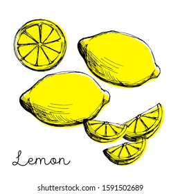 Set of whole, cut in half, sliced on pieces lemons. Sketch drawing on a white background