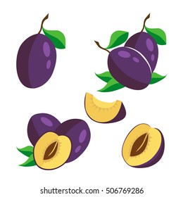 Set of whole and cut plum fruits. Composition of blue plum on white background.