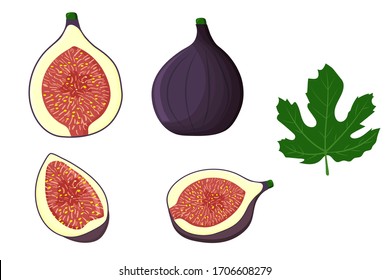 Conjunto de higos enteros, la mitad, cuñas, hojas, aislados en fondo blanco. Ilustración plana vectorial.
