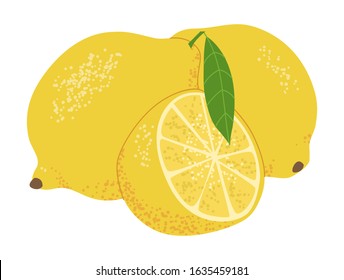 Set of whole fresh ripe lemons, cut in half, sliced. Isolated on white background. Vector illustration. 