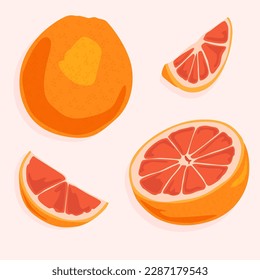 A set of a whole grapefruit, its half and segments with pulp. Healthy fruits and natural products. Food icons.