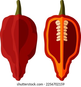 La mitad de los pimientos fantasmas chile de Bhut Jolokia se monta con todo. Naga jolokia. U-morok. Capsicum chinense. Pimienta chile. Verduras. Estilo plano. Ilustración vectorial aislada en fondo blanco.