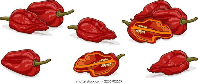 Set with whole, half of Bhut Jolokia ghost chile peppers. Naga jolokia. Capsicum chinense. Hot chili pepper. Chili pepper. Vegetables. Vector illustration isolated on white background. Cartoon style.