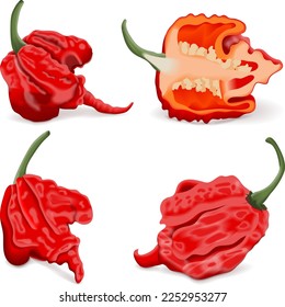 Set with whole, half of Carolina Reaper peppers. HP22B. Capsicum chinense. Superhot or extremely hot chile pepper. Chili pepper. Vegetables. Vector illustration isolated on white background.