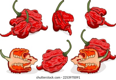 Set with whole, half of Carolina Reaper peppers. HP22B. Capsicum Chinese. Super hot chile pepper. Chili pepper. Vegetables. Cartoon style. Vector illustration isolated on white background.