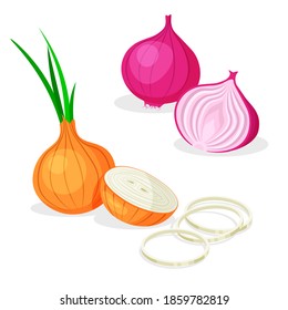 Set of whole, half, cut slice, rings and piece of onion isolated on white background. Red and white onions. Vegan food vector vegetable icons in a trendy cartoon style. Healthy food concept.