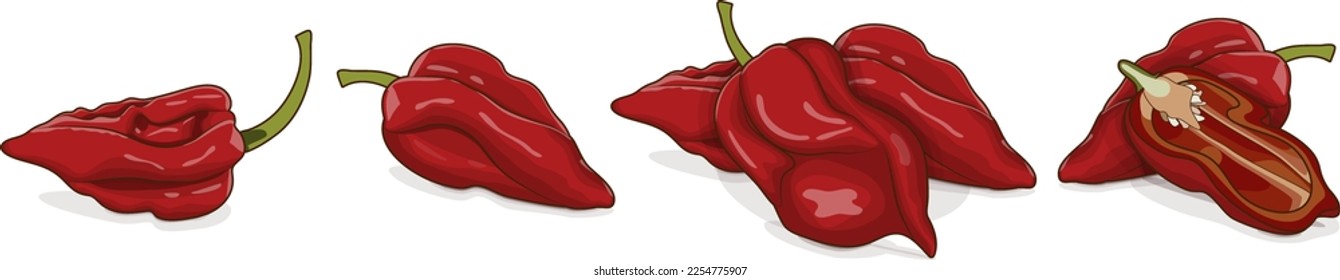 Set with whole, half of Naga Viper pepper. Capsicum chinense. Hot chili pepper.Chili pepper. Fresh, organic, raw, vegan vegetables. Vector illustration isolated on white background. Cartoon style.