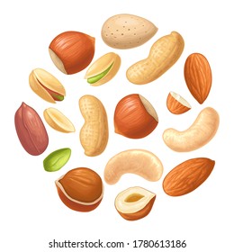 Set whole and half nut seed. Hazelnut, peanut, almond, cashew, pistachio. Vector color realistic illustration. Isolated on white background