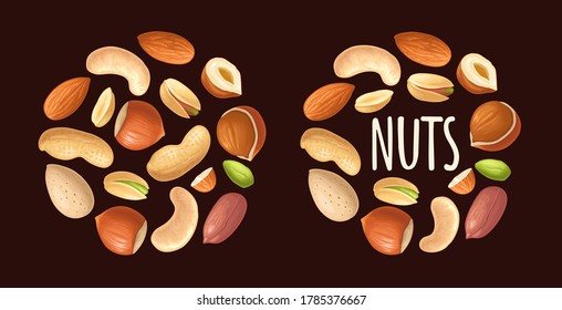 Set whole and half nut seed with green leaves. Vector color realistic illustration. Isolated on black background. Handwriting lettering hazelnut, peanut, almond, cashew, pistachio