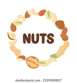 Set whole and half nut seed. Peanut, walnut, hazelnut, pistachio, almond and cashew. Nuts design, round frame. Vector illustration, isolated on white background, flat style.