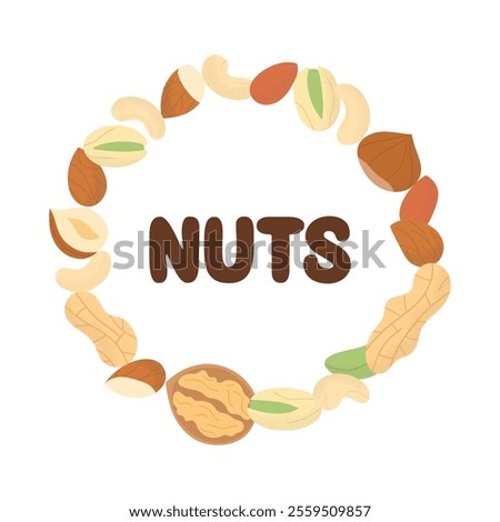 Set whole and half nut seed. Peanut, walnut, hazelnut, pistachio, almond and cashew. Nuts design, round frame. Vector illustration, isolated on white background, flat style.