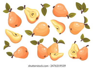 Conjunto de rebanada entera, media y pera aislada sobre fondo blanco. Fruta fresca madura con hojas. Vista superior de la pera. Comida orgánica vegetariana saludable. Ilustración vectorial para un estilo de vida saludable, buena nutrición