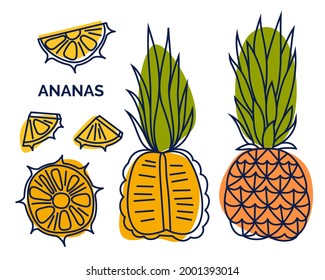 Set of whole and half pineapple, sliced. Doodle illustration of vector exotic fruit isolated on dark background