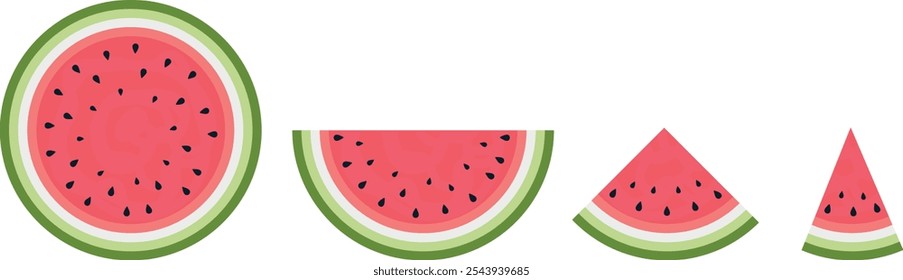 A set of whole, half, quarter and cut watermelon slices. Isolated vector illustration.	