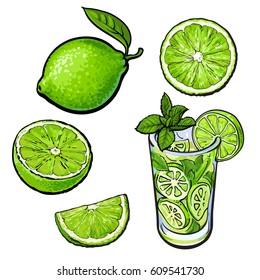 Set of whole, half, quarter lime and glass of lemonade with ice, sketch style vector illustration on white background. Hand drawn whole and cut lime and glass of lemonade with ice