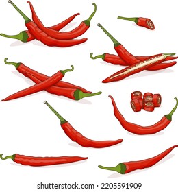 Set with whole, half, quarter, slices, and wedges of Cayenne peppers. Ginnie peppers. Chili peppers. Fresh organic vegetables. Cartoon style. Vector illustration isolated on white background.