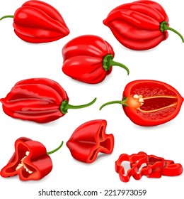 Set with whole, half, quarter, slices, and wedges of Red habanero chili peppers. Capsicum chinense. Hot chili pepper. Fresh organic vegetables. Vector illustration isolated on white background.