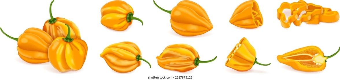 Set with whole, half, quarter, slices, and wedges of yellow habanero chili peppers. Capsicum chinense. Hot chili pepper. Fresh organic vegetables. Vector illustration isolated on white background.