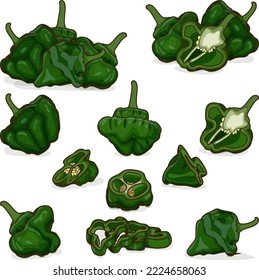 Está acondicionada con medias, medias, cuartos, rodajas y cuñas de perlas de cochinillo verde. Capsicum chinense. Pimienta picante. Verduras. Estilo de caricatura. Ilustración vectorial aislada en fondo blanco.