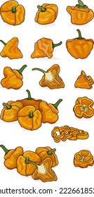Está acondicionada con medias, medias, cuartos, rodajas y cuñas de pimientos bonnet de whisky amarillo. Capsicum chinense. Pimienta picante. Verduras. Estilo de caricatura. Ilustración vectorial aislada en fondo blanco.