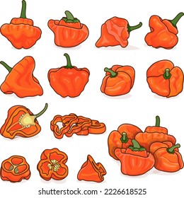 Set with whole, half, quarter, slices, and wedges of orange scotch bonnet peppers. Capsicum chinense. Hot chili pepper. Vegetables. Cartoon style. Vector illustration isolated on white background.