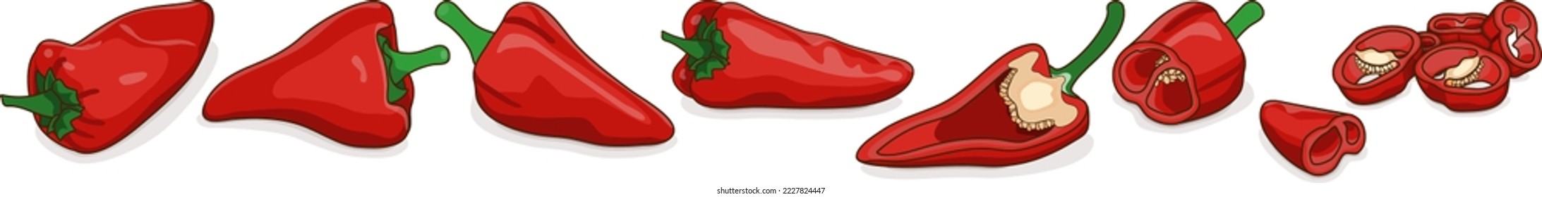 Set with whole, half, quarter, and slices of Spanish Piquillo peppers. Pimiento pepper. Capsicum annuum. Red chili pepper. Vegetables. Cartoon style. Vector illustration isolated on white background.