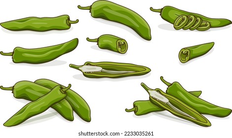 Set with whole, half, quarter, slices, and wedges of Green anaheim peppers. Capsicum annuum. Chili pepper. Fresh organic vegetables. Cartoon style. Vector illustration isolated on white background.