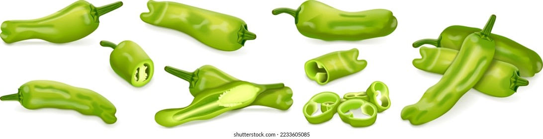 Set with whole, half, quarter, slices, and wedges of Shishito green pepper. Capsicum annuum. Chili pepper. Fresh organic vegetables. Vector illustration isolated on white background.