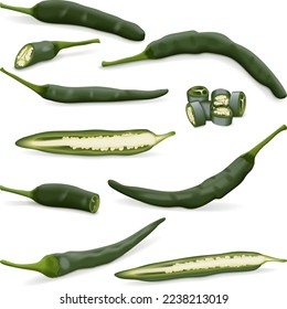 Set with whole, half, quarter, slices of Pasilla Bajio. Chilaca chili pepper. Chile Negro. Mexican Negro. Prieto. Cuernillo. Chili pepper. Vegetables. Vector illustration isolated on white background.