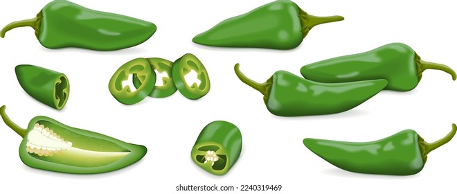 Se ubica con trozos de pimientos verdes de chile Fresno, enteros, a medias, en cuarto. Capsicum annuum. Pimienta chile. Verduras. Ilustración vectorial aislada en fondo blanco.