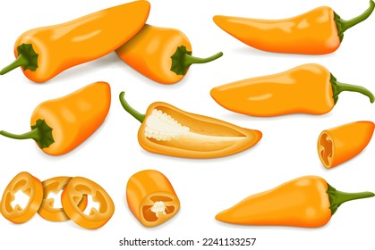 Set with whole, half, quarter, slices, and wedges of Orange Fresno chili peppers. Capsicum annuum. Chili pepper. Vegetables. Vector illustration isolated on white background.