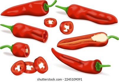 Se coloca con trozos de pimientos de Alepo enteros, medio, cuarto y cuarto. Pimientos Halaby. Pimientos halabe. Capsicum annuum. Pimienta chile. Verduras. Ilustración vectorial aislada en fondo blanco.