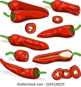 Set with whole, half, quarter, slices of Aleppo peppers. Halaby peppers. Halabe peppers. Capsicum annuum. Chili pepper. Vegetables. Cartoon style. Vector illustration isolated on white background.