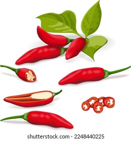 Set with whole, half, quarter, slices of Tabasco Peppers. Hot peppers. Peppers with leaves. Capsicum annuum. Chili pepper. Vegetables.Vector illustration isolated on white background.