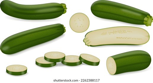 Conjunto con medias, cuartos, cuartos, rodajas y cuñas de Green Zucchini. Corgette o médula. Calabaza veraniega. Cucobits. Frutas y verduras. Ilustración vectorial aislada en fondo blanco.