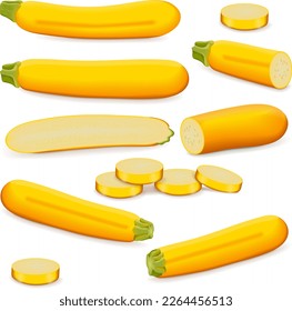Set with whole, half, quarter and slices of Yellow zucchini or golden zucchini. Courgette or marrow. Summer squash. Cucubits. Fruits and vegetables. Vector illustration isolated on white background.