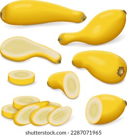 Set with whole, half, quarter, slices of Crookneck Yellow Squash. Summer squash. Cucurbita pepo. Cucurbitaceae. Fresh, raw fruits and vegetables. Vector illustration isolated on white background.