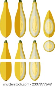 Set with whole, half, quarter, slices of StraightNeck or Straight Neck. Summer squash. Cucurbita pepo. Fruits and vegetables. Flat style. Vector illustration isolated on white background.