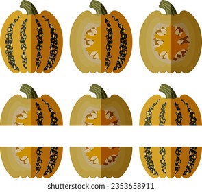 Set with whole, half, quarter, slices of American Tonda pumpkin or Americana Tonda squash. Winter squash. Cucurbita pepo. Fruits and vegetables. Flat style. Isolated vector illustration.