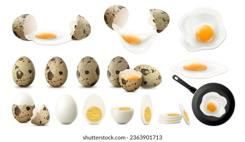 Set of whole, half, sliced and broken spotted quail eggs. Raw, fried and boiled eggs, isolated on white background. Crack eggs with yolks. Fried eggs on frying pan. Realistic 3d vector.