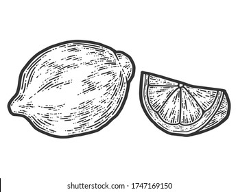 Conjunto de limón y rodajas enteras. Esbozar la imitación de tablero de arañazos. Blanco y negro. Grabando ilustración vectorial.