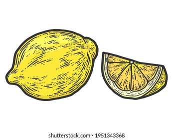 Set of whole lemon and slice. Sketch scratch board imitation color.