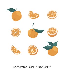 Set of whole oranges on a branch with leaves and pieces isolated on a white background in a flat style. Vector stock illustration