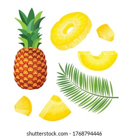 Set with whole pineapple and pineapple pieces, pineapple palm leaves. Vector illustration.