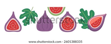 Set with Whole purple Fig, halved fruit with a seeds, slice and leaves. Modern vector illustration isolated on white background, hand drawn, flat design