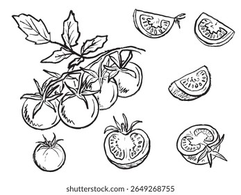 Set of whole, sliced cherry tomatoes in black brush stroke texture isolated on white. Hand drawn vector sketch illustration in vintage charcoal ink. Cooking, label, market vegetable design, eco