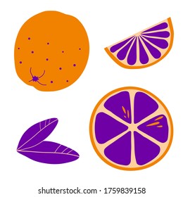 Set of whole and sliced lime in flat style isolated on white background.