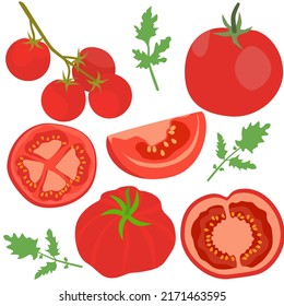 Set of whole and sliced red tomatoes vector.