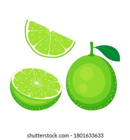 set of whole and slices lime isolated on white, vector illustration